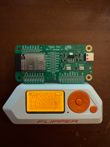 flipper